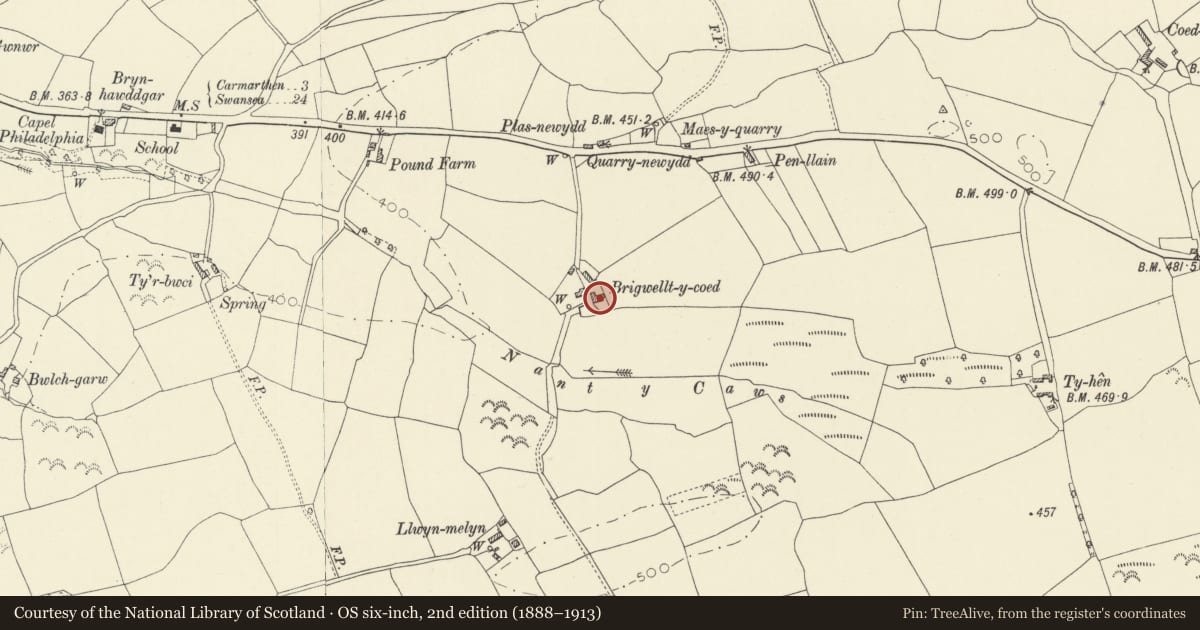 Ordnance Survey six-inch map, 2nd edition (1888–1913) covering the location of Multi-purpose farm building at Brigwallt y Coed, Llangunnor, Carmarthenshire, with a pin at the register's coordinates