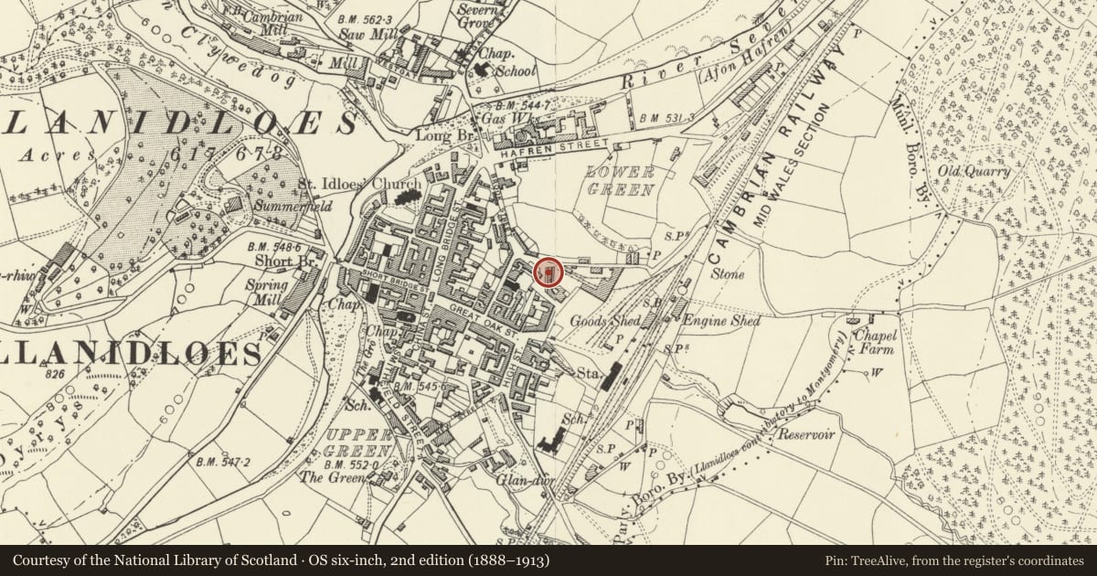 Ordnance Survey six-inch map, 2nd edition (1888–1913) covering the location of 3 Foundry Terrace, Llanidloes, Powys, with a pin at the register's coordinates