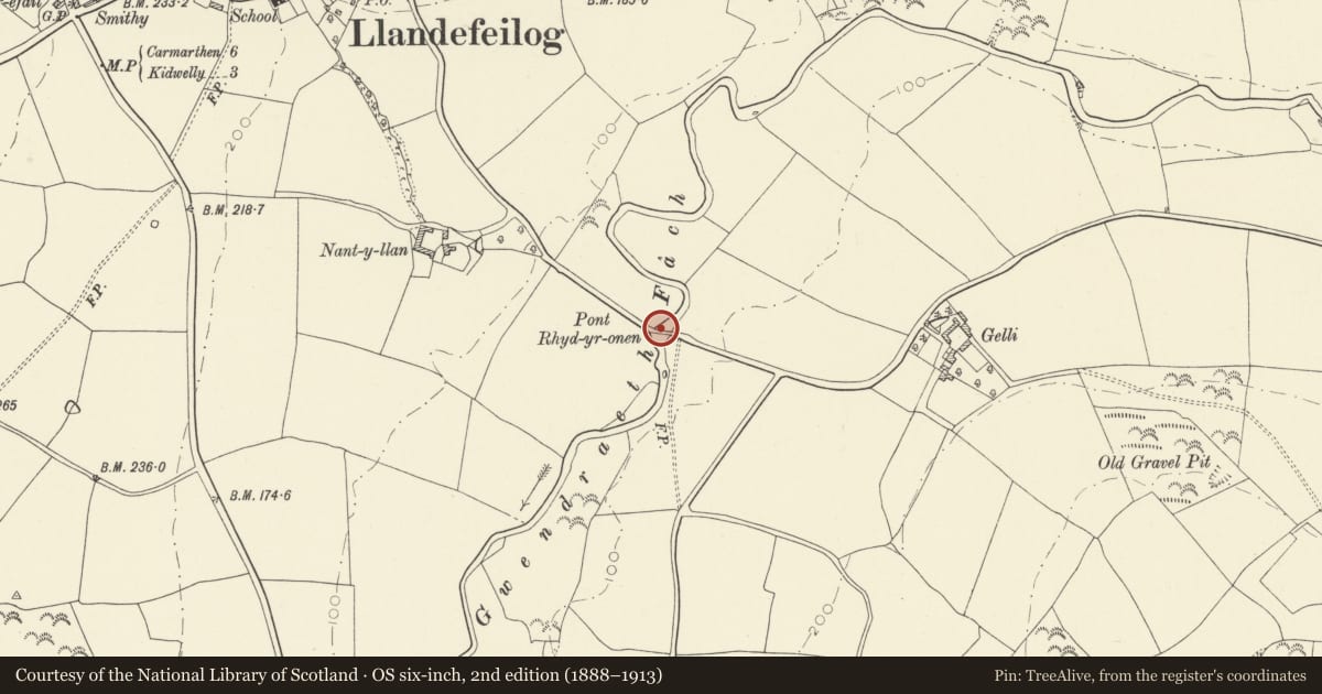 Ordnance Survey six-inch map, 2nd edition (1888–1913) covering the location of Pont Rhydyronnen, Llandyfaelog, Carmarthenshire, with a pin at the register's coordinates