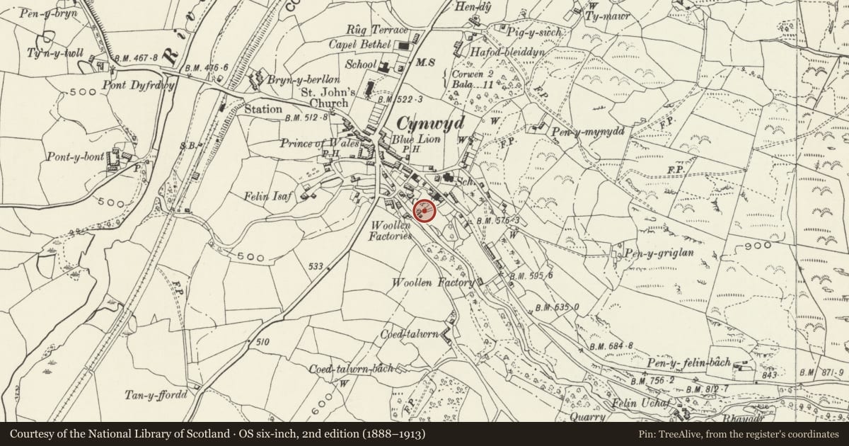 Ordnance Survey six-inch map, 2nd edition (1888–1913) covering the location of Cynwyd Youth Hostel (former Prince's Yard Factory), Denbighshire, with a pin at the register's coordinates
