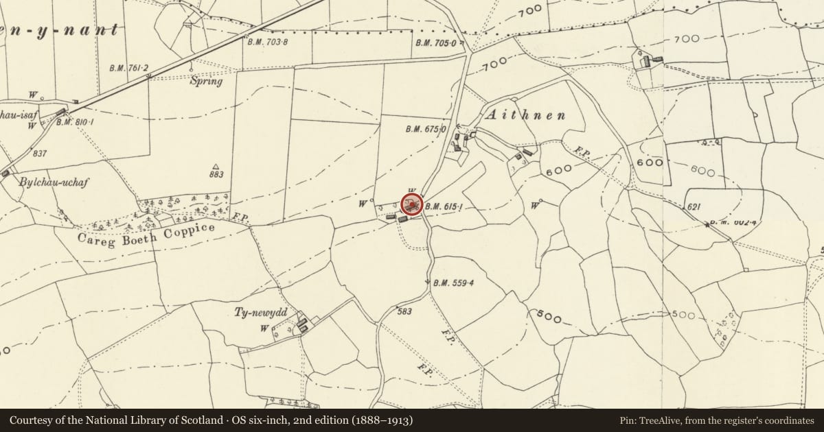 Ordnance Survey six-inch map, 2nd edition (1888–1913) covering the location of Aithnen Farmhouse with Attached Outbildings, Llanfechain, Powys, with a pin at the register's coordinates