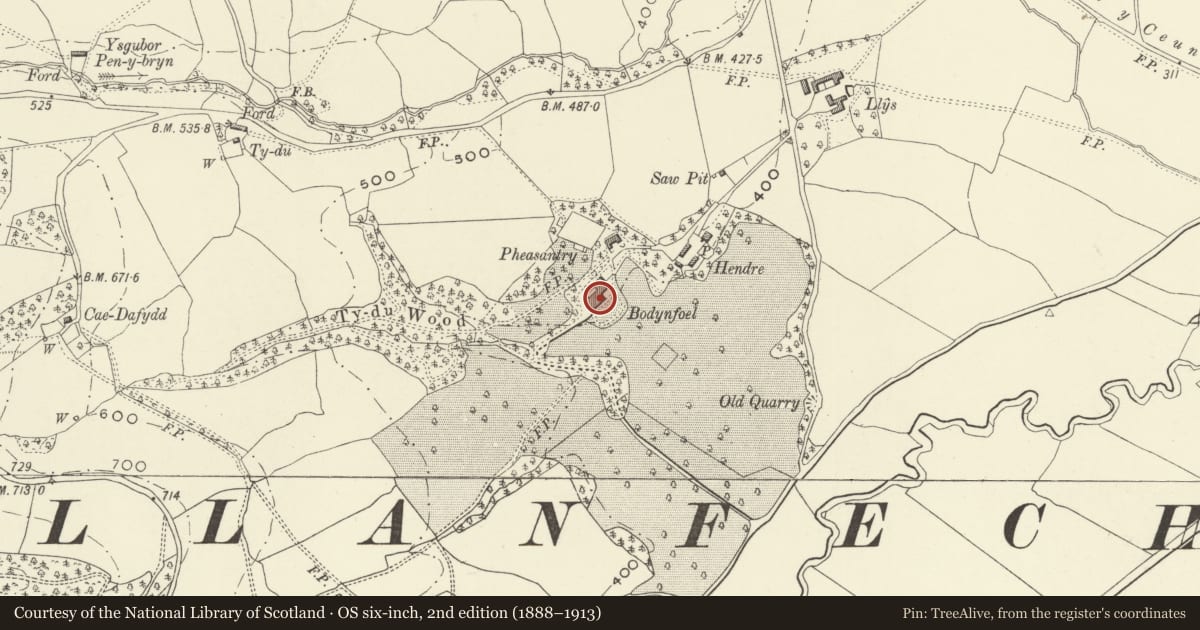 Ordnance Survey six-inch map, 2nd edition (1888–1913) covering the location of Bodynfoel Hall, Llanfechain, Powys, with a pin at the register's coordinates