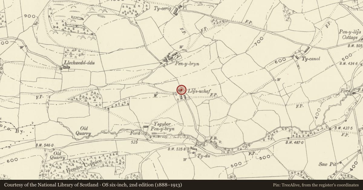 Ordnance Survey six-inch map, 2nd edition (1888–1913) covering the location of Llys-ucha, Llanfechain, Powys, with a pin at the register's coordinates