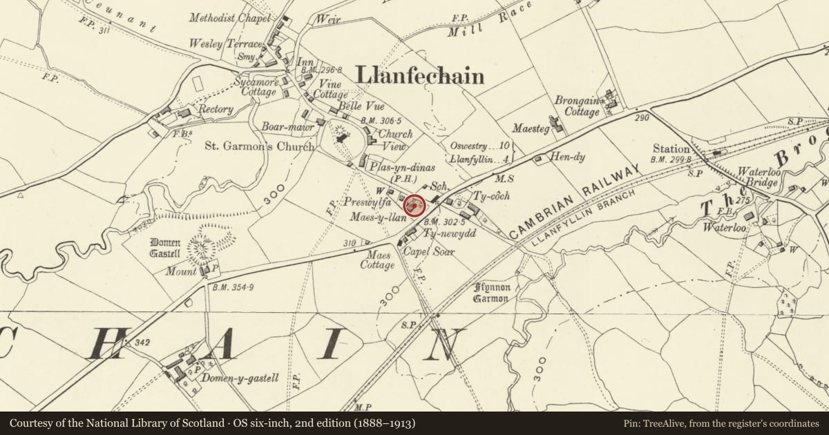 Ordnance Survey six-inch map, 2nd edition (1888–1913) covering the location of Maes-y-llan, Llanfechain, Powys, with a pin at the register's coordinates