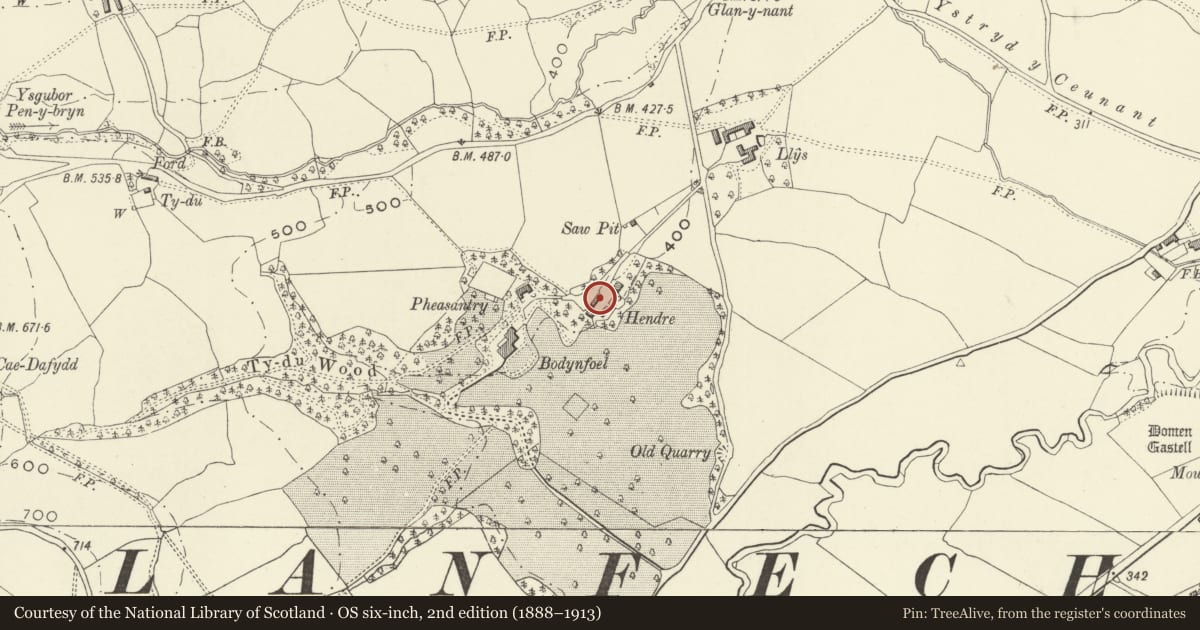 Ordnance Survey six-inch map, 2nd edition (1888–1913) covering the location of Old Barn at Hendre, Bodynfoel, Llanfechain, Powys, with a pin at the register's coordinates