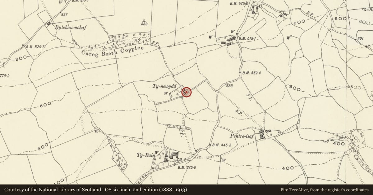 Ordnance Survey six-inch map, 2nd edition (1888–1913) covering the location of Ty-newydd Farmhouse, Llanfechain, Powys, with a pin at the register's coordinates