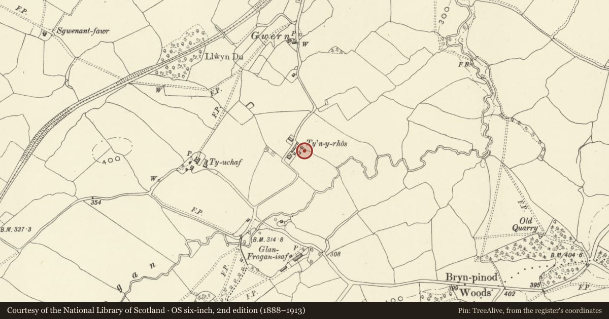 Ordnance Survey six-inch map, 2nd edition (1888–1913) covering the location of Tyn-y-rhos Farmhouse, Llanfechain, Powys, with a pin at the register's coordinates