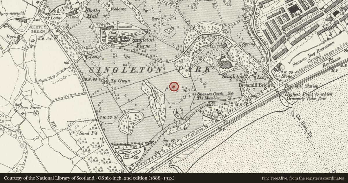 Ordnance Survey six-inch map, 2nd edition (1888–1913) covering the location of Fulton House, Sketty, Swansea, with a pin at the register's coordinates