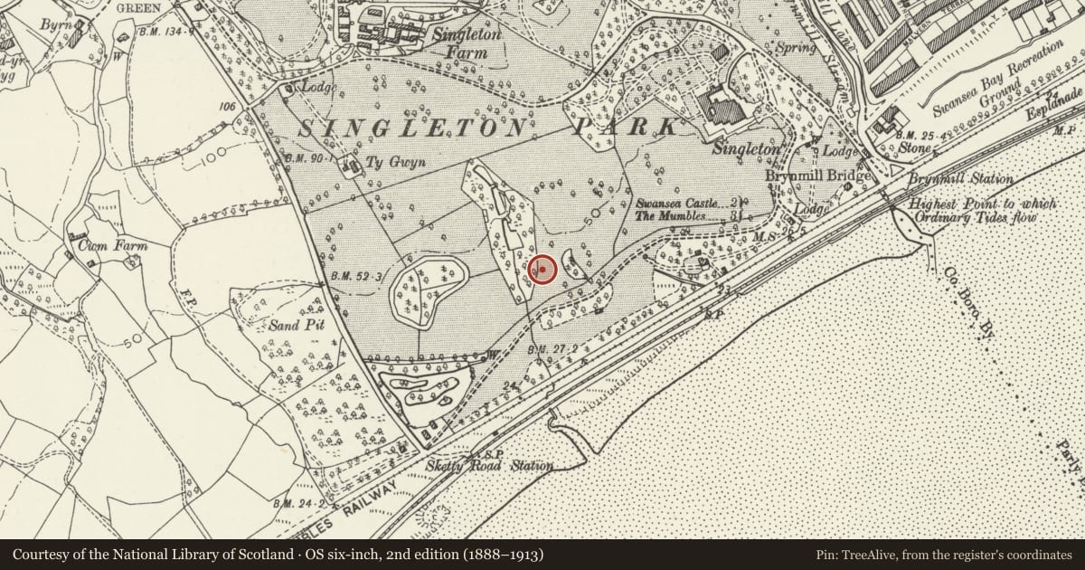 Ordnance Survey six-inch map, 2nd edition (1888–1913) covering the location of Wallace Building, Sketty, Swansea, with a pin at the register's coordinates