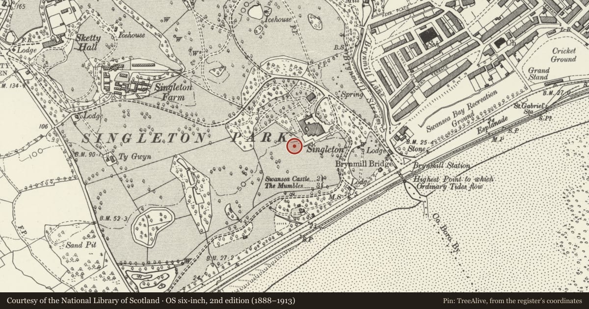 Ordnance Survey six-inch map, 2nd edition (1888–1913) covering the location of Library (original block), Sketty, Swansea, with a pin at the register's coordinates