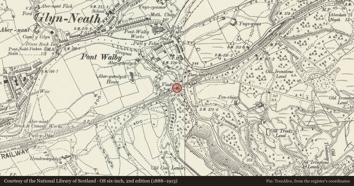 Ordnance Survey six-inch map, 2nd edition (1888–1913) covering the location of Pontwalby Railway Viaduct (partly in Glynneath community), Blaengwrach, Neath Port Talbot, with a pin at the register's coordinates