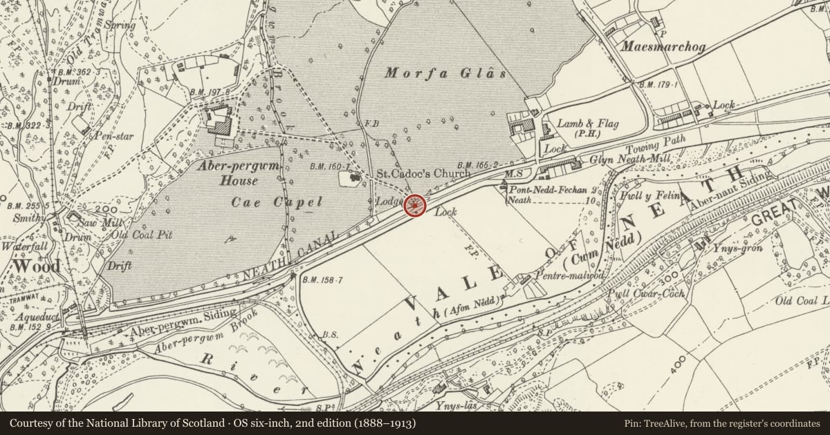Ordnance Survey six-inch map, 2nd edition (1888–1913) covering the location of Bridge, gatepiers and railings at S end of Manor Drive, Glynneath, Neath Port Talbot, with a pin at the register's coordinates