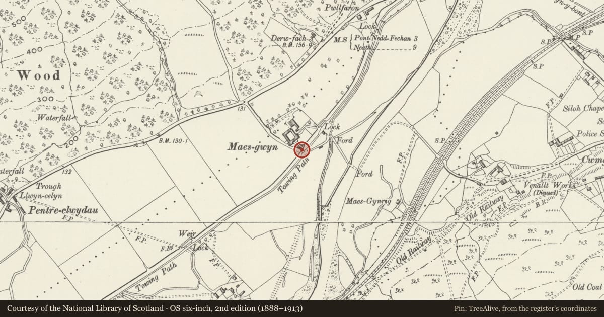 Ordnance Survey six-inch map, 2nd edition (1888–1913) covering the location of Bridge over Neath Canal at Maes-gwyn, Glynneath, Neath Port Talbot, with a pin at the register's coordinates