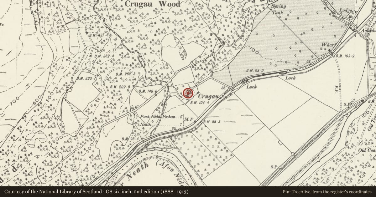 Ordnance Survey six-inch map, 2nd edition (1888–1913) covering the location of Crugau, Glynneath, Neath Port Talbot, with a pin at the register's coordinates