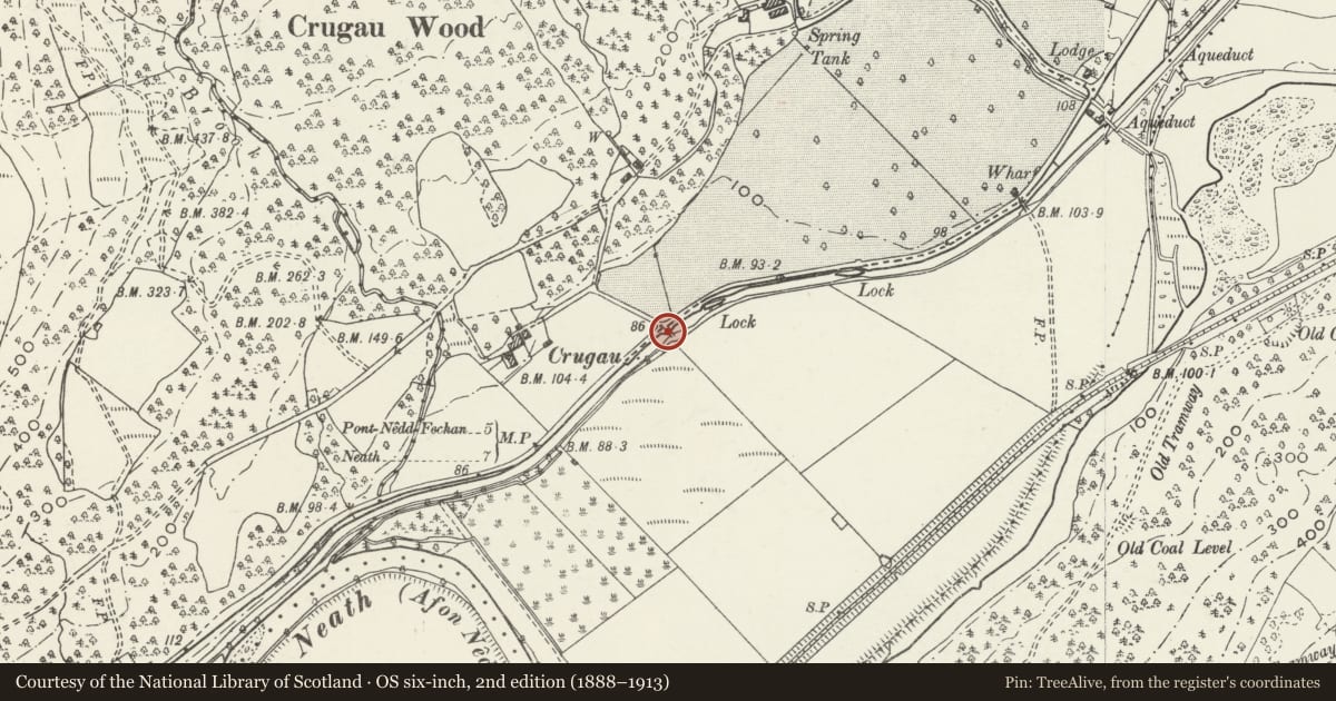 Ordnance Survey six-inch map, 2nd edition (1888–1913) covering the location of Bridge over Neath Canal near Crugau, Glynneath, Neath Port Talbot, with a pin at the register's coordinates