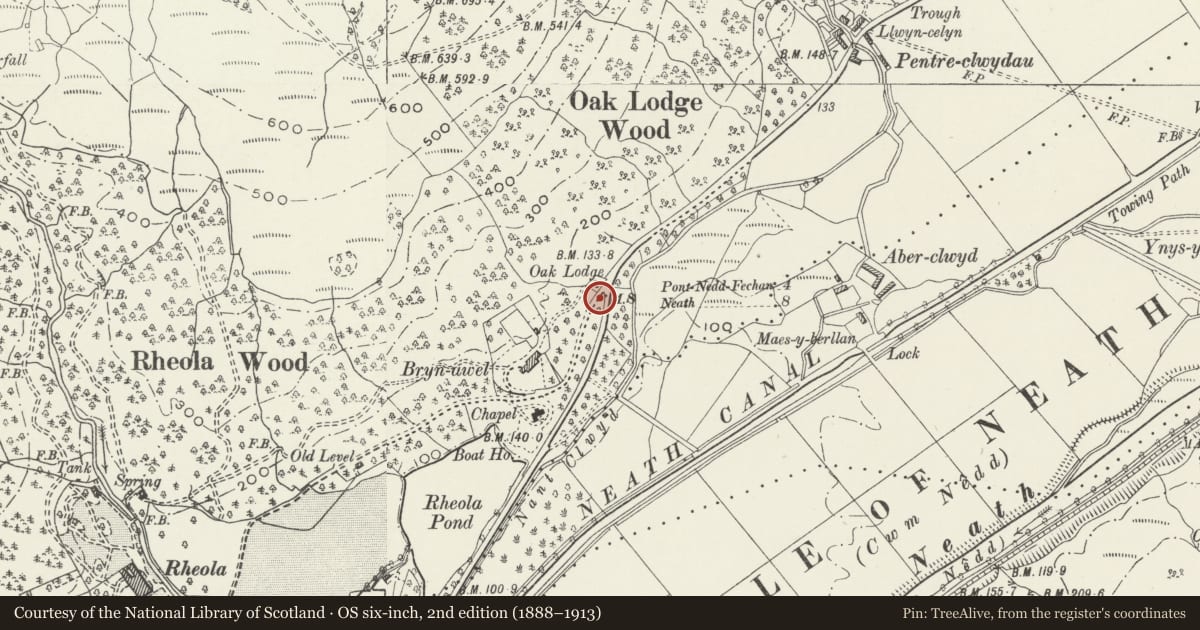 Ordnance Survey six-inch map, 2nd edition (1888–1913) covering the location of Milestone on B4242 near Oak Lodge, Glynneath, Neath Port Talbot, with a pin at the register's coordinates
