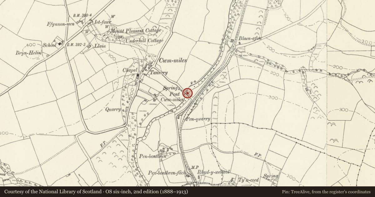 Ordnance Survey six-inch map, 2nd edition (1888–1913) covering the location of Pont Cwm-miles, Cilymaenllwyd, Carmarthenshire, with a pin at the register's coordinates