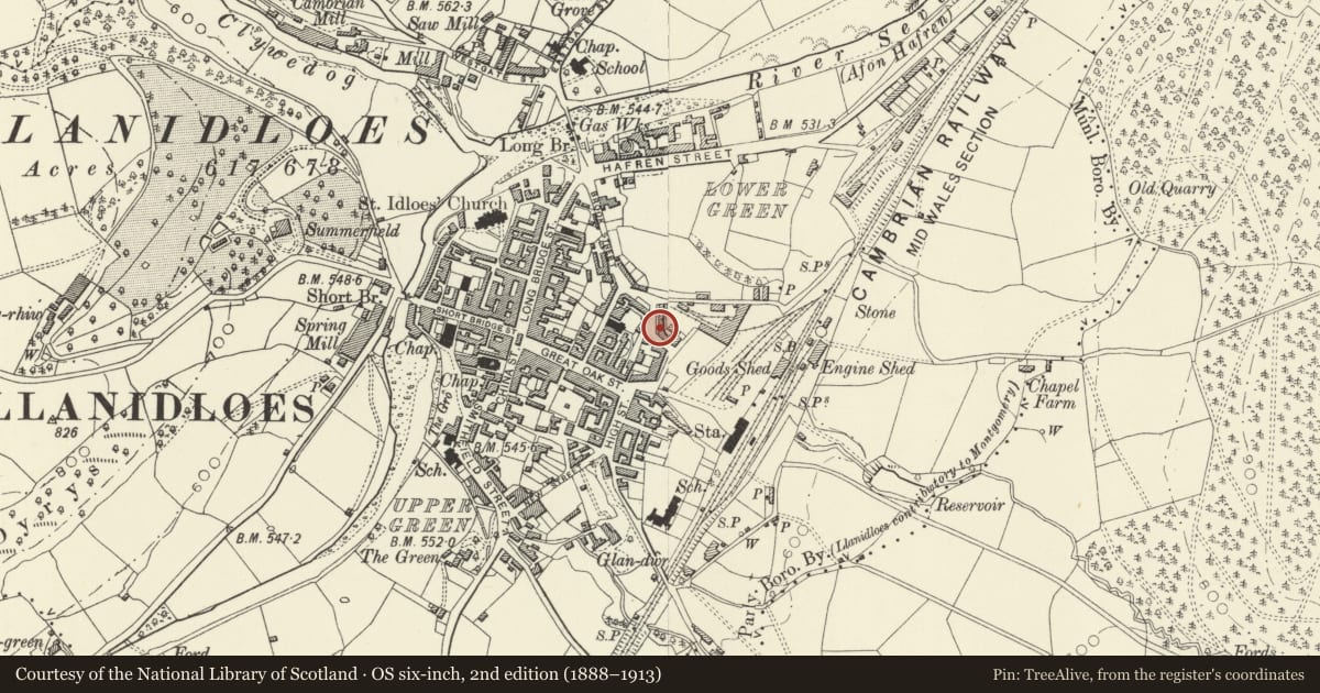 Ordnance Survey six-inch map, 2nd edition (1888–1913) covering the location of 9 Foundry Terrace, Llanidloes, Powys, with a pin at the register's coordinates