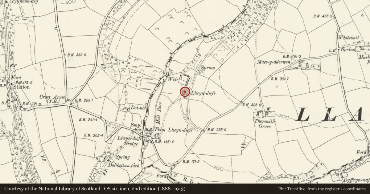 Ordnance Survey six-inch map, 2nd edition (1888–1913) covering the location of Llwyn Dwfr, Clynderwen, Pembrokeshire, with a pin at the register's coordinates
