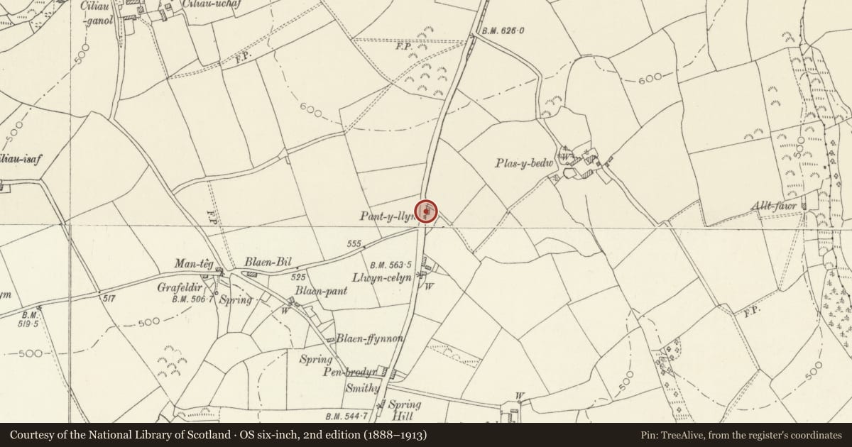 Ordnance Survey six-inch map, 2nd edition (1888–1913) covering the location of Pant-y-llyn, Clynderwen, Pembrokeshire, with a pin at the register's coordinates