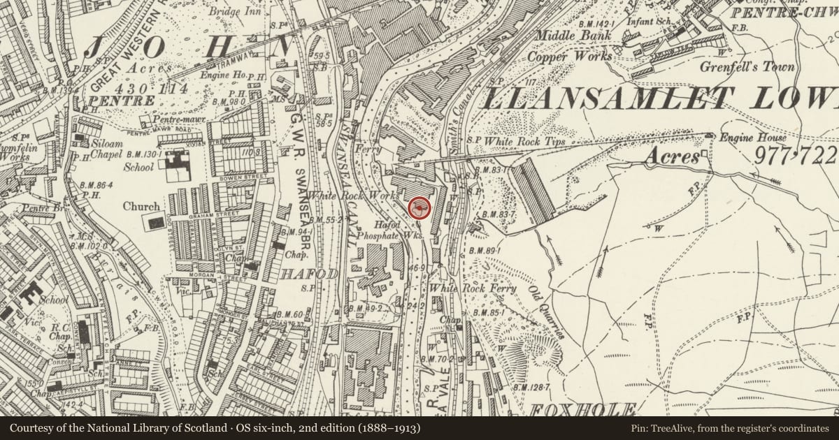 Ordnance Survey six-inch map, 2nd edition (1888–1913) covering the location of Dock at former White Rock Copperworks and quay wall to N, St. Thomas, Swansea, with a pin at the register's coordinates
