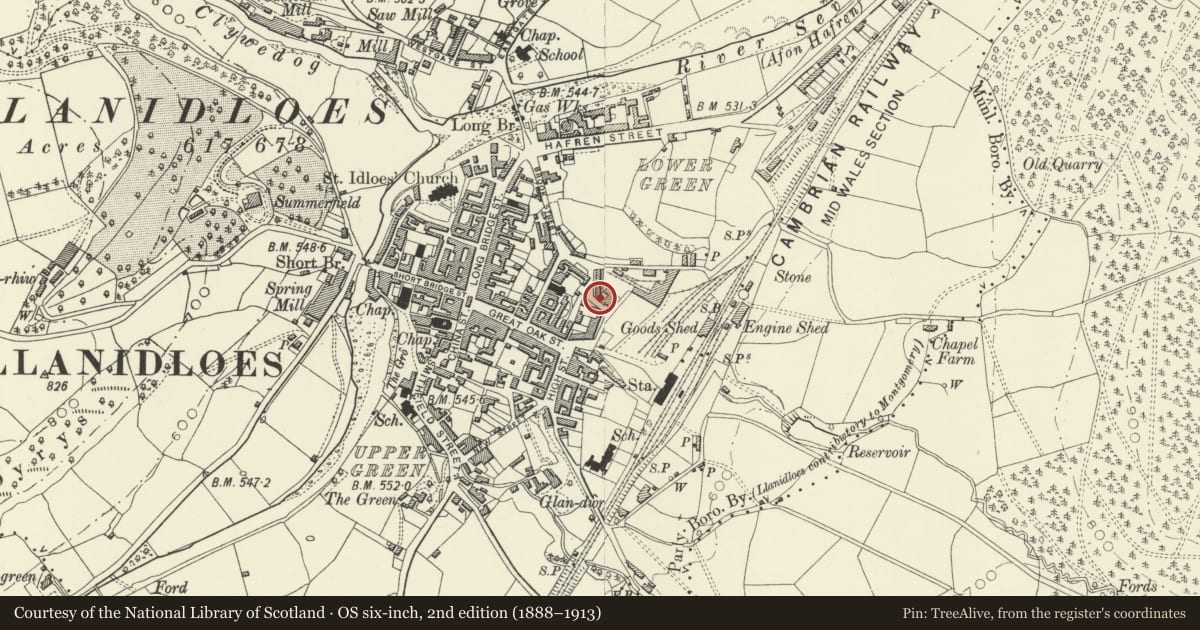 Ordnance Survey six-inch map, 2nd edition (1888–1913) covering the location of 12 Foundry Terrace, Llanidloes, Powys, with a pin at the register's coordinates