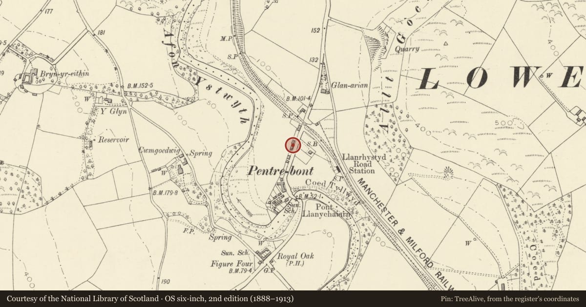 Ordnance Survey six-inch map, 2nd edition (1888–1913) covering the location of Ardwyn, Llanfarian, Ceredigion, with a pin at the register's coordinates