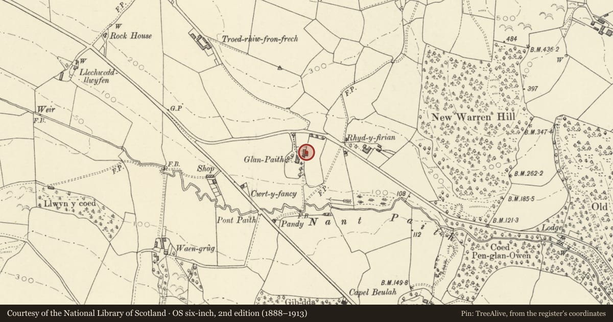Ordnance Survey six-inch map, 2nd edition (1888–1913) covering the location of Coach house and stable at Glanpaith, Llanfarian, Ceredigion, with a pin at the register's coordinates