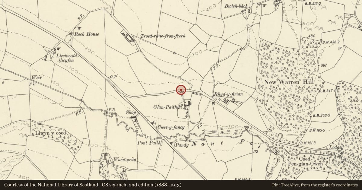 Ordnance Survey six-inch map, 2nd edition (1888–1913) covering the location of Entrance gates at Glanpaith, Llanfarian, Ceredigion, with a pin at the register's coordinates