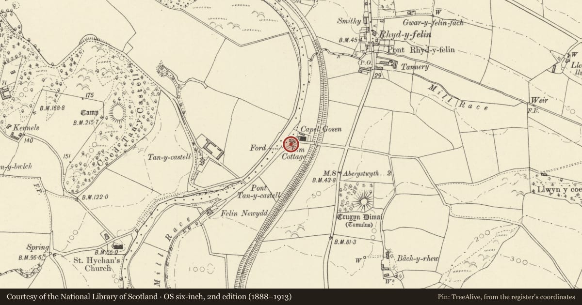 Ordnance Survey six-inch map, 2nd edition (1888–1913) covering the location of Garden wall, gates and railings at Ty'n y Lon, Llanfarian, Ceredigion, with a pin at the register's coordinates