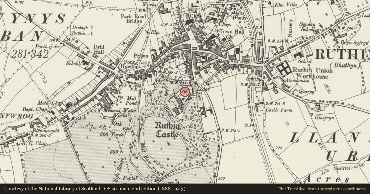 Ordnance Survey six-inch map, 2nd edition (1888–1913) covering the location of Ruthin Castle, Denbighshire, with a pin at the register's coordinates