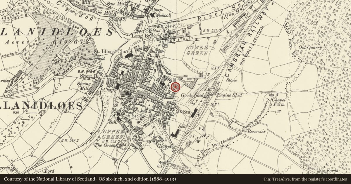 Ordnance Survey six-inch map, 2nd edition (1888–1913) covering the location of 13 Foundry Terrace, Llanidloes, Powys, with a pin at the register's coordinates