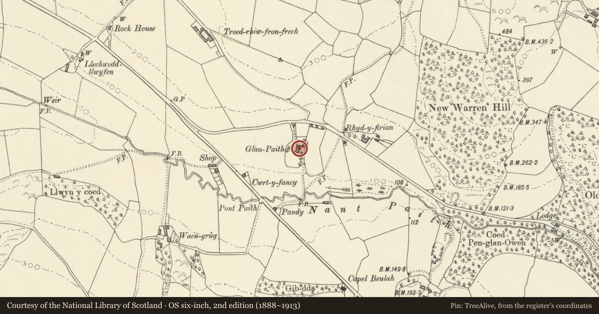 Ordnance Survey six-inch map, 2nd edition (1888–1913) covering the location of Glanpaith, Llanfarian, Ceredigion, with a pin at the register's coordinates
