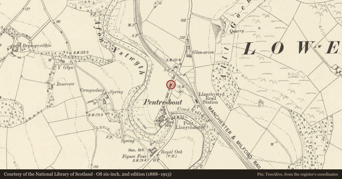 Ordnance Survey six-inch map, 2nd edition (1888–1913) covering the location of Greenways, Llanfarian, Ceredigion, with a pin at the register's coordinates