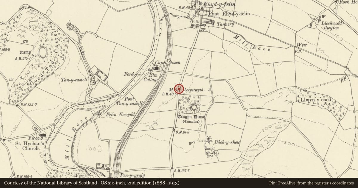 Ordnance Survey six-inch map, 2nd edition (1888–1913) covering the location of Milestone near Crugyn Dimai, Llanfarian, Ceredigion, with a pin at the register's coordinates