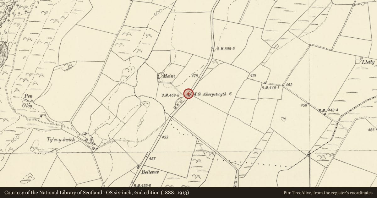 Ordnance Survey six-inch map, 2nd edition (1888–1913) covering the location of Milestone near Y Meini, Llanfarian, Ceredigion, with a pin at the register's coordinates