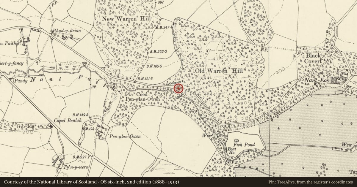 Ordnance Survey six-inch map, 2nd edition (1888–1913) covering the location of Nanteos Lodge, including gate pier, gate and railings, Llanfarian, Ceredigion, with a pin at the register's coordinates