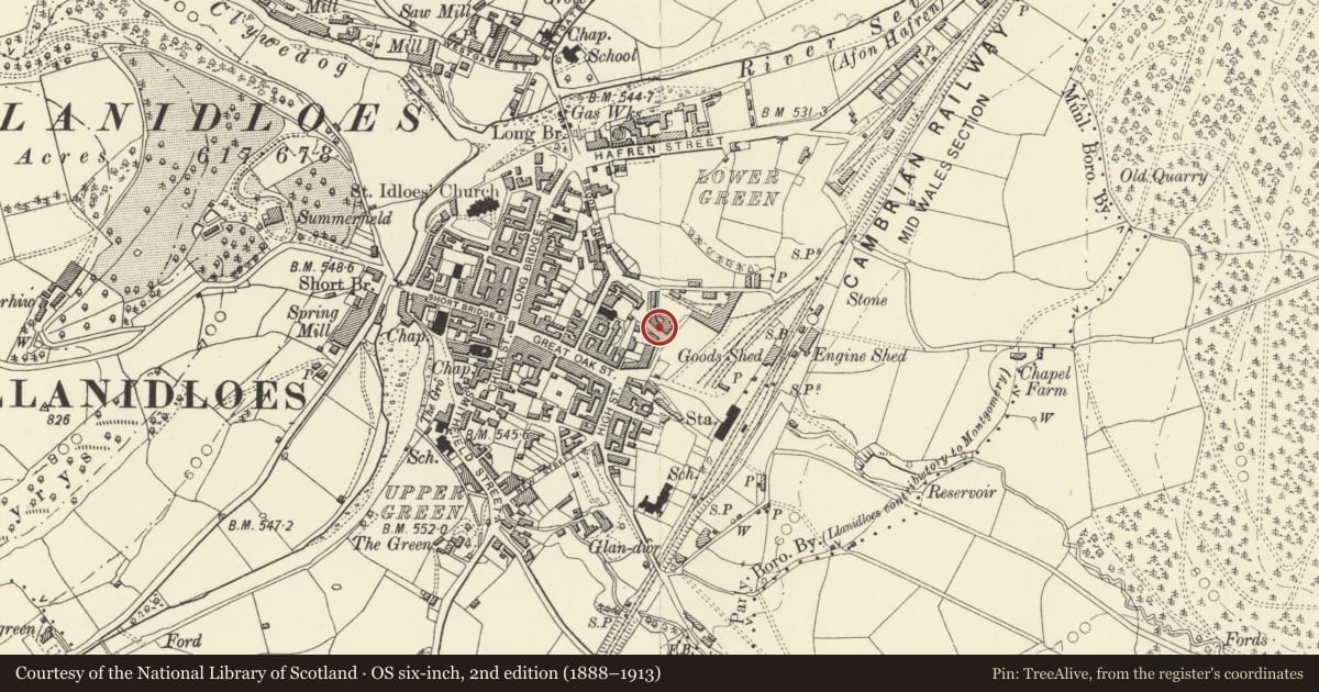 Ordnance Survey six-inch map, 2nd edition (1888–1913) covering the location of 14 Foundry Terrace, Llanidloes, Powys, with a pin at the register's coordinates