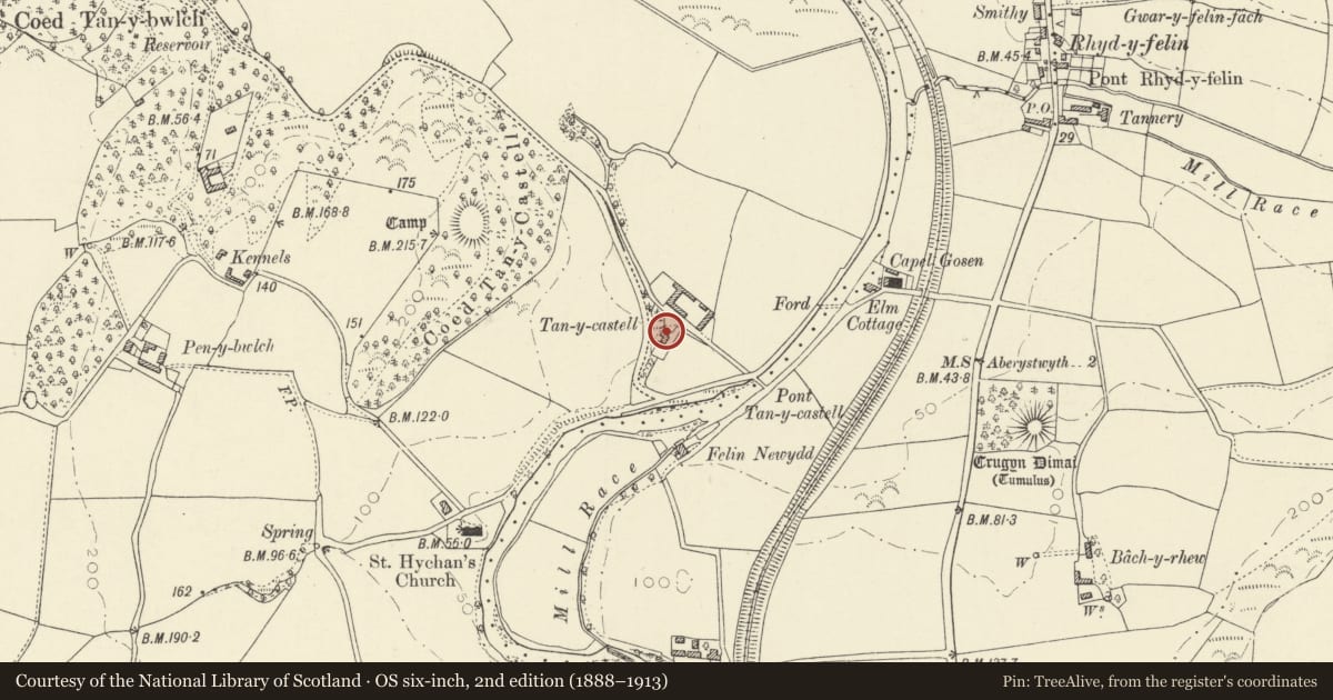 Ordnance Survey six-inch map, 2nd edition (1888–1913) covering the location of Tanycastell, Llanfarian, Ceredigion, with a pin at the register's coordinates