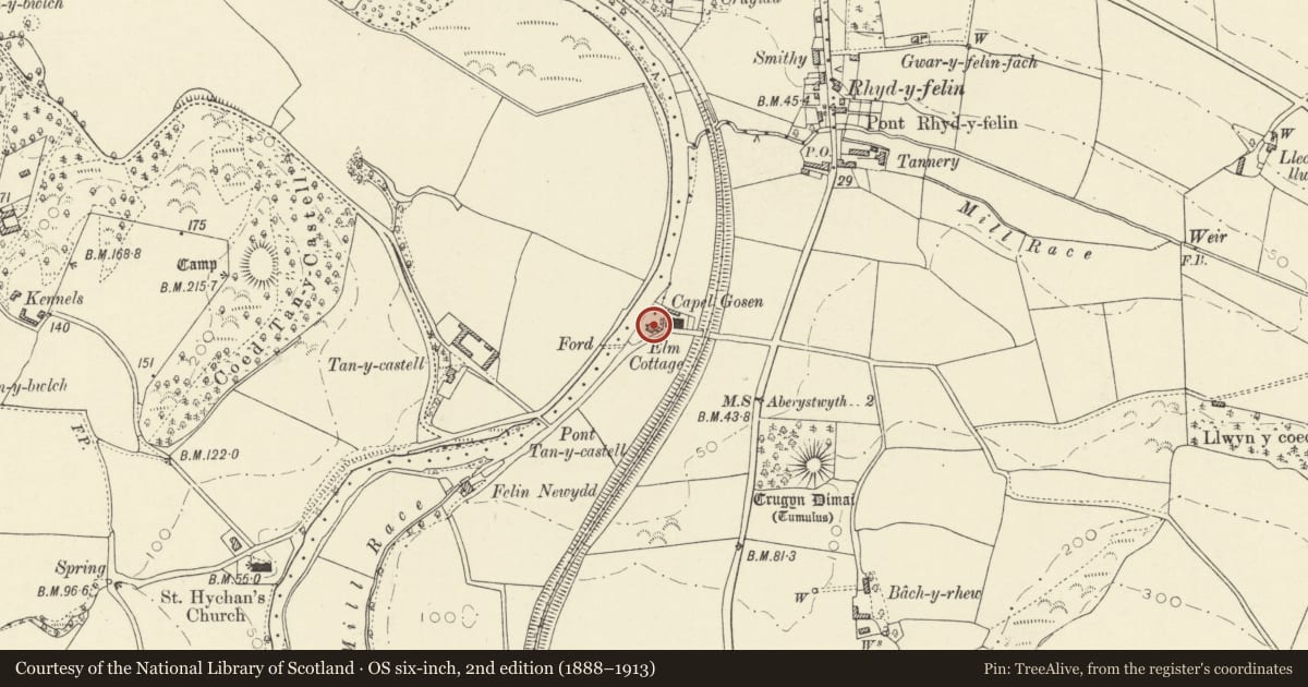 Ordnance Survey six-inch map, 2nd edition (1888–1913) covering the location of Ty'n y Lon, Llanfarian, Ceredigion, with a pin at the register's coordinates