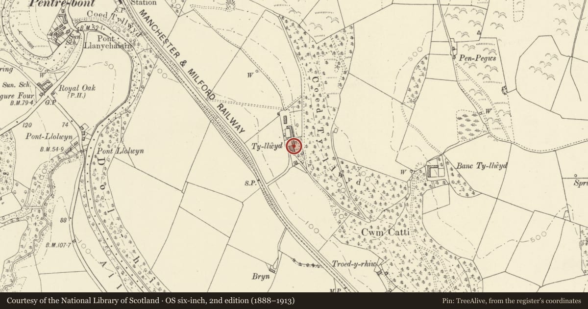 Ordnance Survey six-inch map, 2nd edition (1888–1913) covering the location of Tyllwyd and attached outbuildings, Llanfarian, Ceredigion, with a pin at the register's coordinates