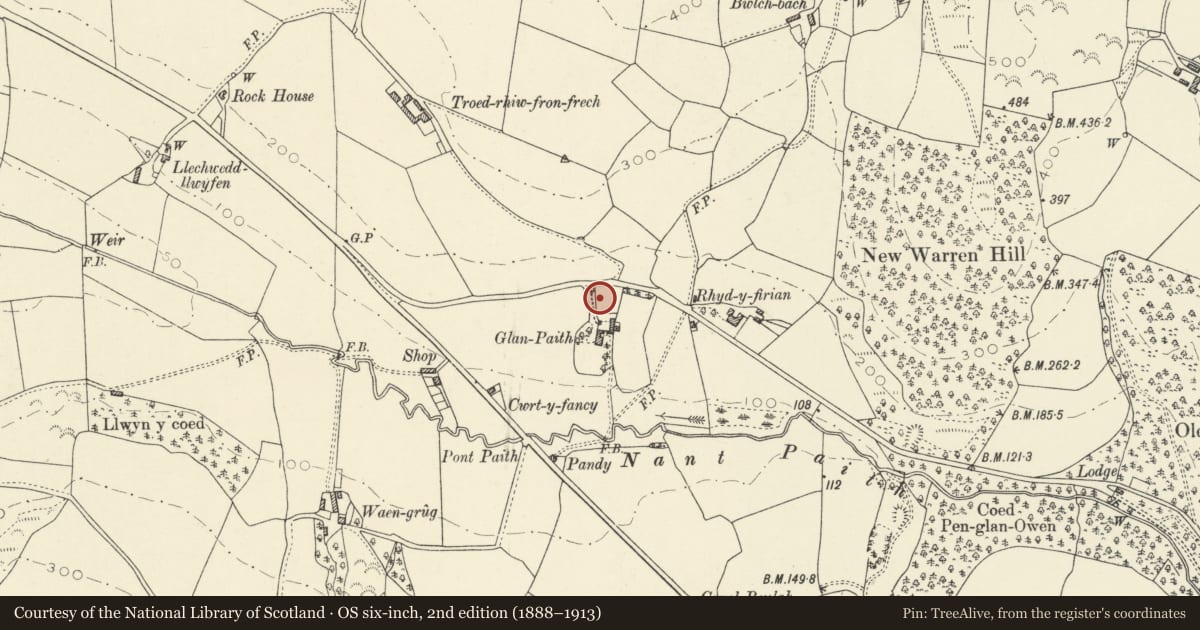 Ordnance Survey six-inch map, 2nd edition (1888–1913) covering the location of Walled Garden at Glanpaith, Llanfarian, Ceredigion, with a pin at the register's coordinates