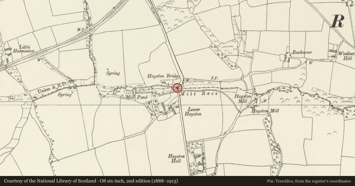 Ordnance Survey six-inch map, 2nd edition (1888–1913) covering the location of Haystone Bridge (partly in Llanstadwell community), Rosemarket, Pembrokeshire, with a pin at the register's coordinates