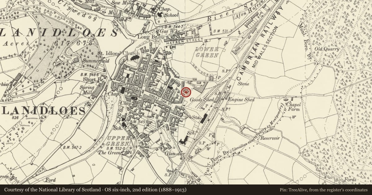 Ordnance Survey six-inch map, 2nd edition (1888–1913) covering the location of 16 Foundry Terrace, Llanidloes, Powys, with a pin at the register's coordinates