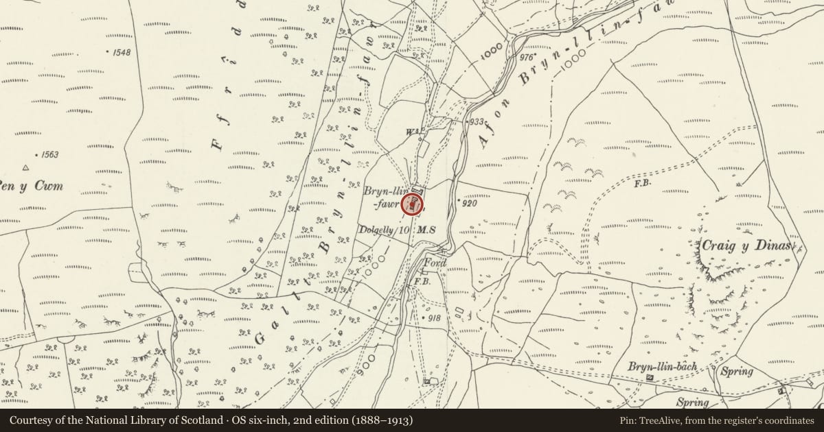 Ordnance Survey six-inch map, 2nd edition (1888–1913) covering the location of Brynllin Fawr, Trawsfynydd, Gwynedd, with a pin at the register's coordinates