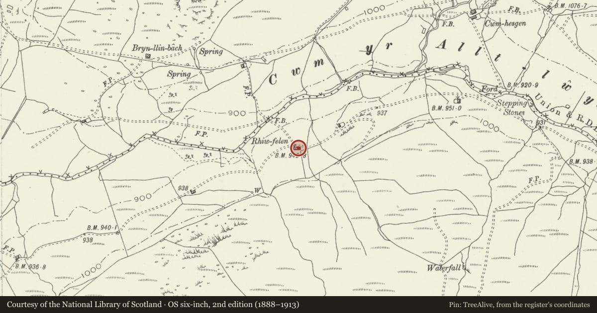 Ordnance Survey six-inch map, 2nd edition (1888–1913) covering the location of Field cowhouse at Rhiw Felen, Brithdir and Llanfachreth, Gwynedd, with a pin at the register's coordinates