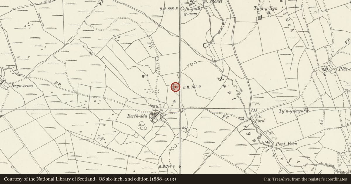 Ordnance Survey six-inch map, 2nd edition (1888–1913) covering the location of Hayban and cowhouse at Berth-ddu, Trawsfynydd, Gwynedd, with a pin at the register's coordinates