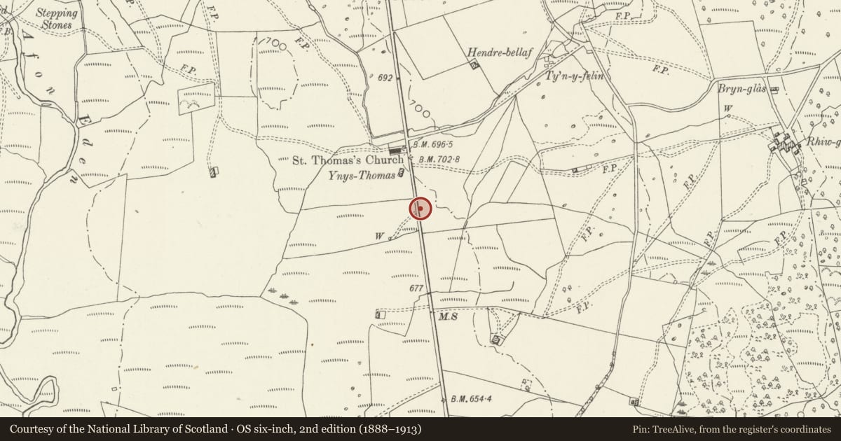 Ordnance Survey six-inch map, 2nd edition (1888–1913) covering the location of Milepost at Bronaber, Trawsfynydd, Gwynedd, with a pin at the register's coordinates