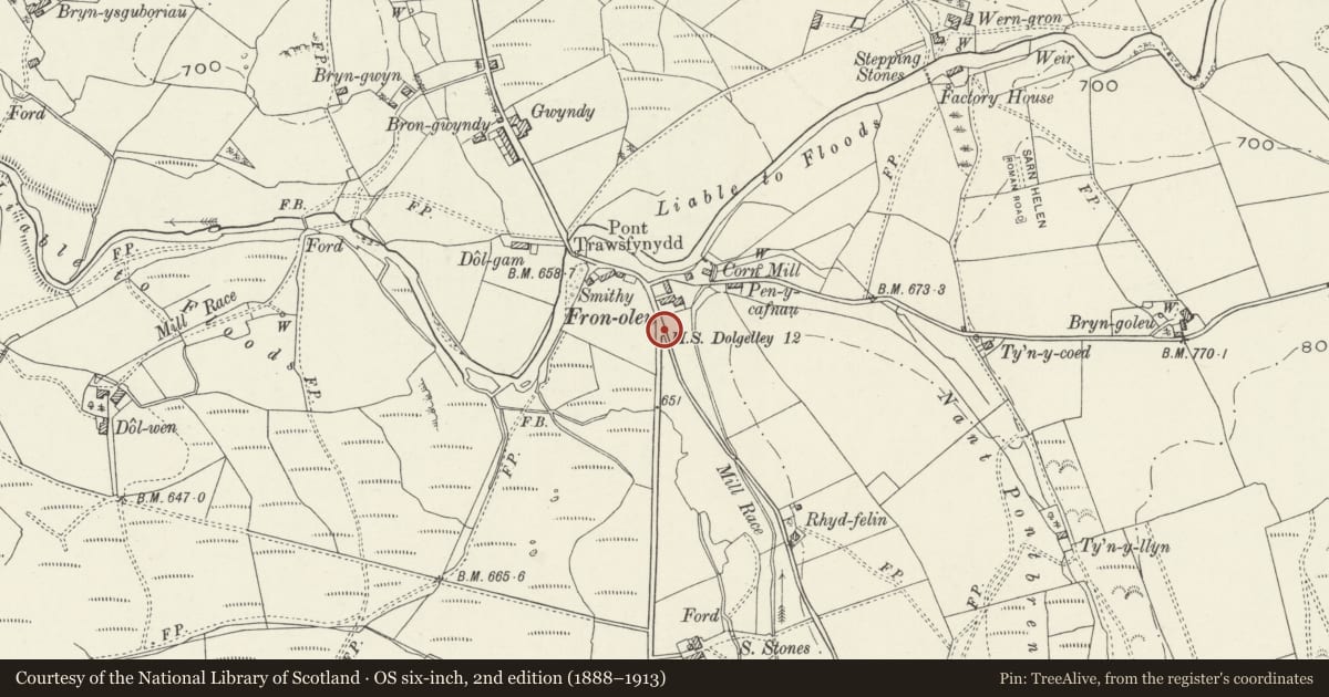 Ordnance Survey six-inch map, 2nd edition (1888–1913) covering the location of Milepost by Fron-oleu, Trawsfynydd, Gwynedd, with a pin at the register's coordinates