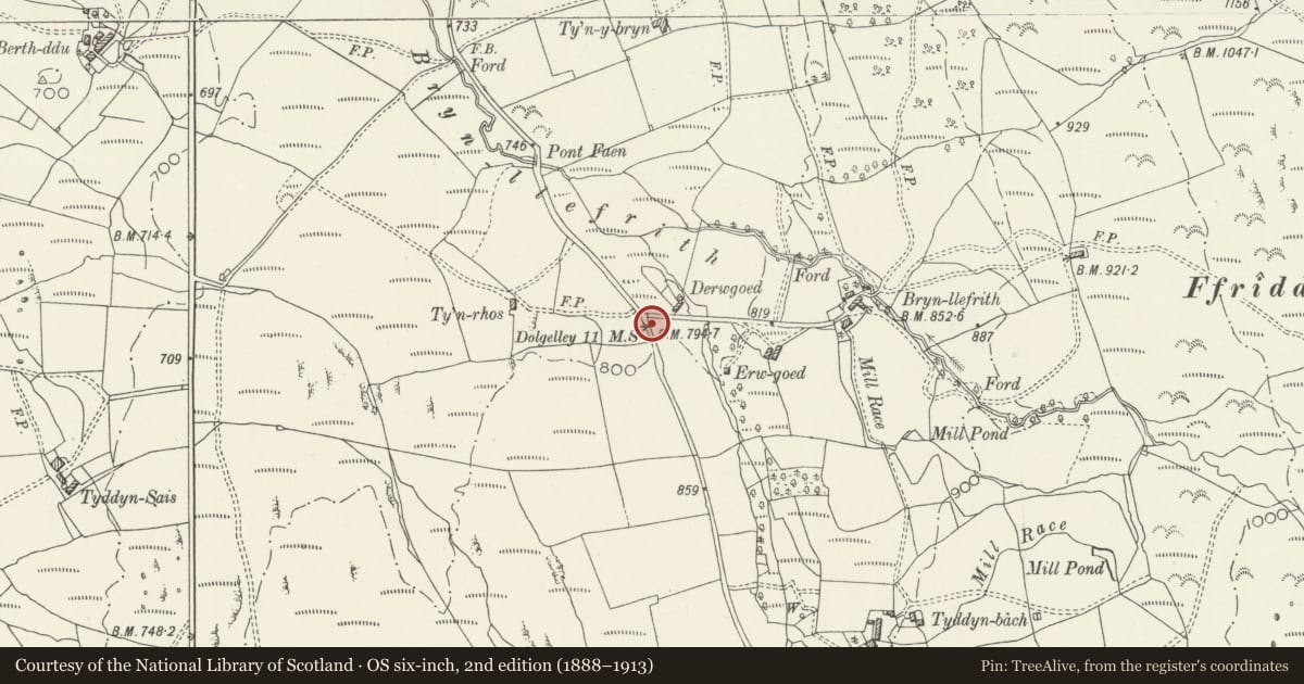 Ordnance Survey six-inch map, 2nd edition (1888–1913) covering the location of Milestone by Bryn Llefrith, Trawsfynydd, Gwynedd, with a pin at the register's coordinates